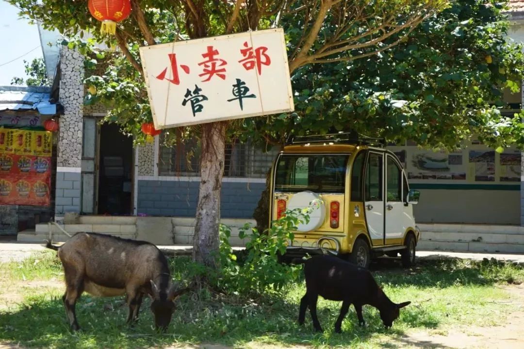 距海南20km有片处女地，比台湾风情比三亚便宜，路过都错过了