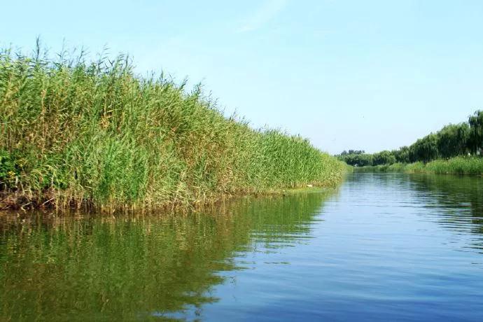 古老潴龙河，成为记忆中久远的童话