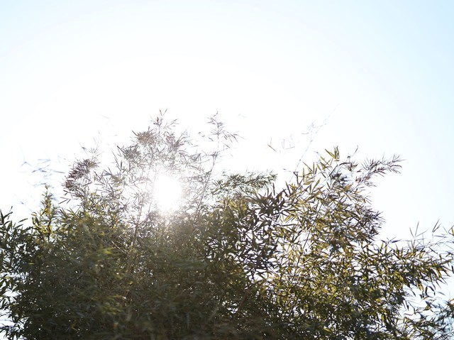 摄影圈名字大全,摄影圈的专业术语