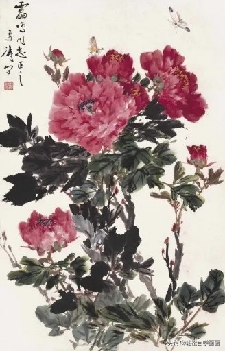 画牡丹如何加色能出层次,画牡丹调色运笔