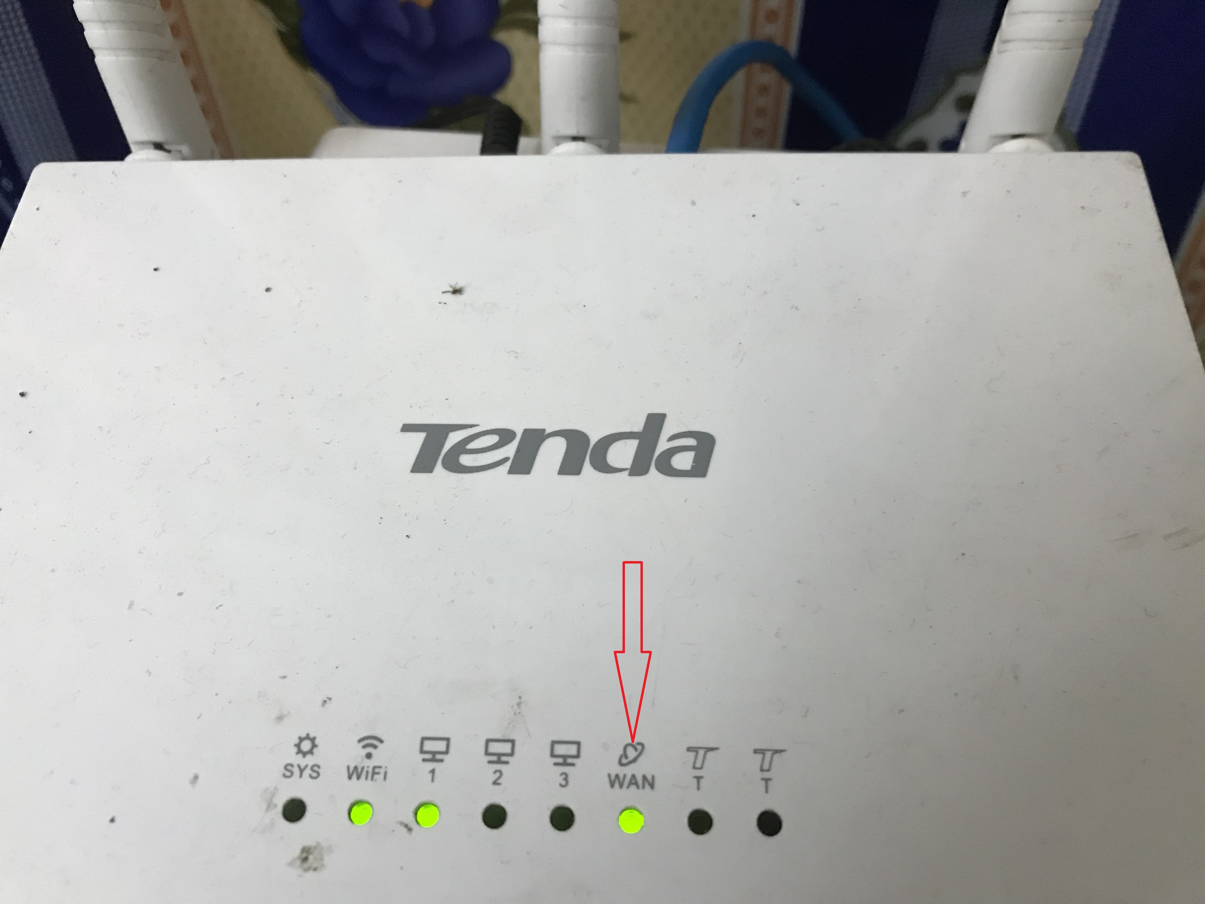 网络常见故障现象及处理方法,手把手教你轻松解决网络故障