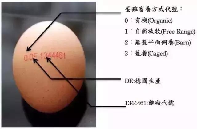 令人诧异的德国物价,德国物价便宜到让你怀疑人生