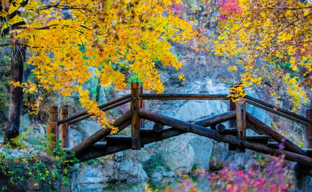 济南适合带娃去的公园,济南适合遛娃的景区