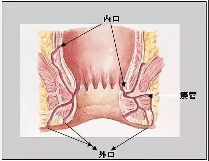 鑲涢棬鐤肩棝娴佽創鎬庝箞娌荤枟,鑲涢棬鍛ㄥ洿鐤肩棝娴佽創鎬庝箞娌荤枟