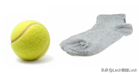 怎么用狗绳做狗玩具,怎么制作狗狗玩具