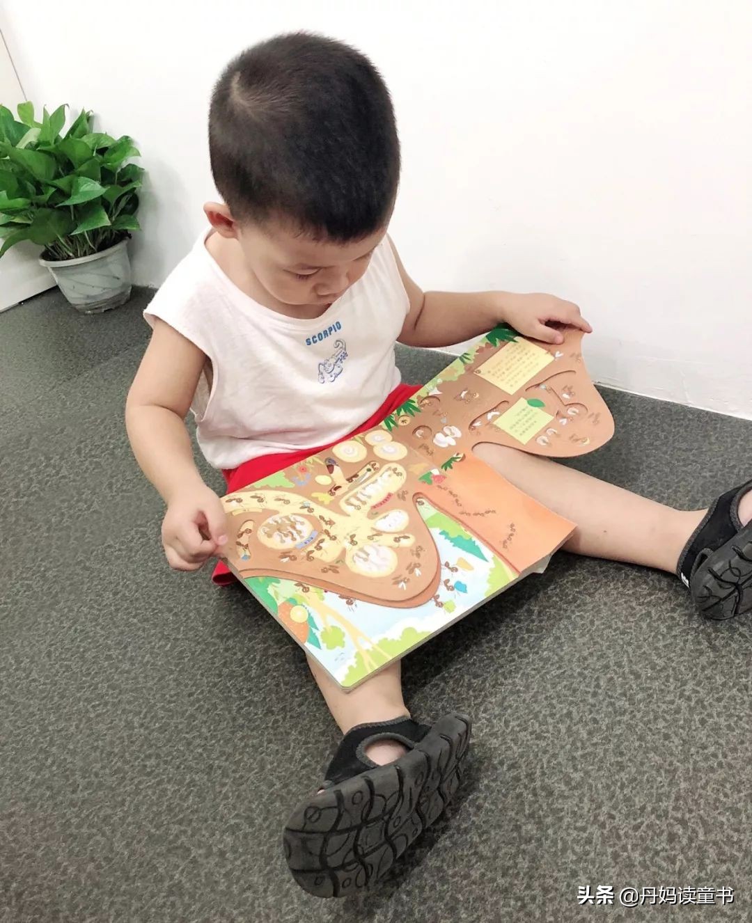 秋季流行童装品牌,今年流行的秋季童装品牌