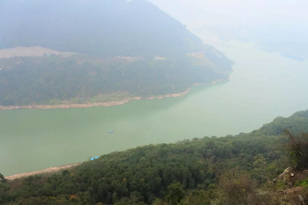 重庆铁山坪森林公园有什么好玩的,重庆赏花一日游最佳去处