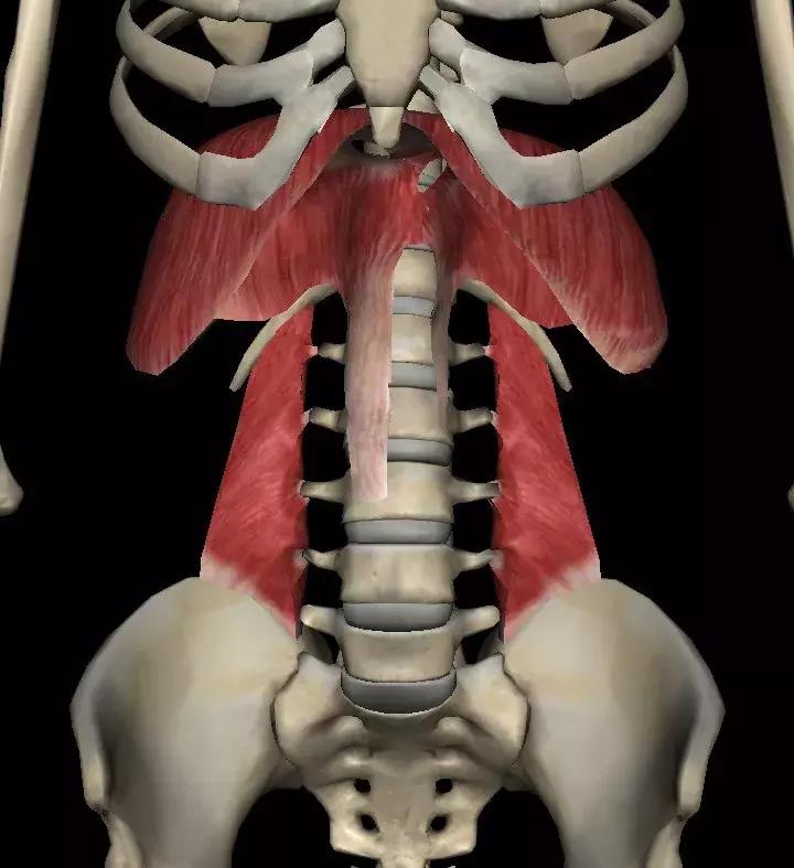 大哥洗脚完脚腰疼到不能走路，究竟是怎么回事？