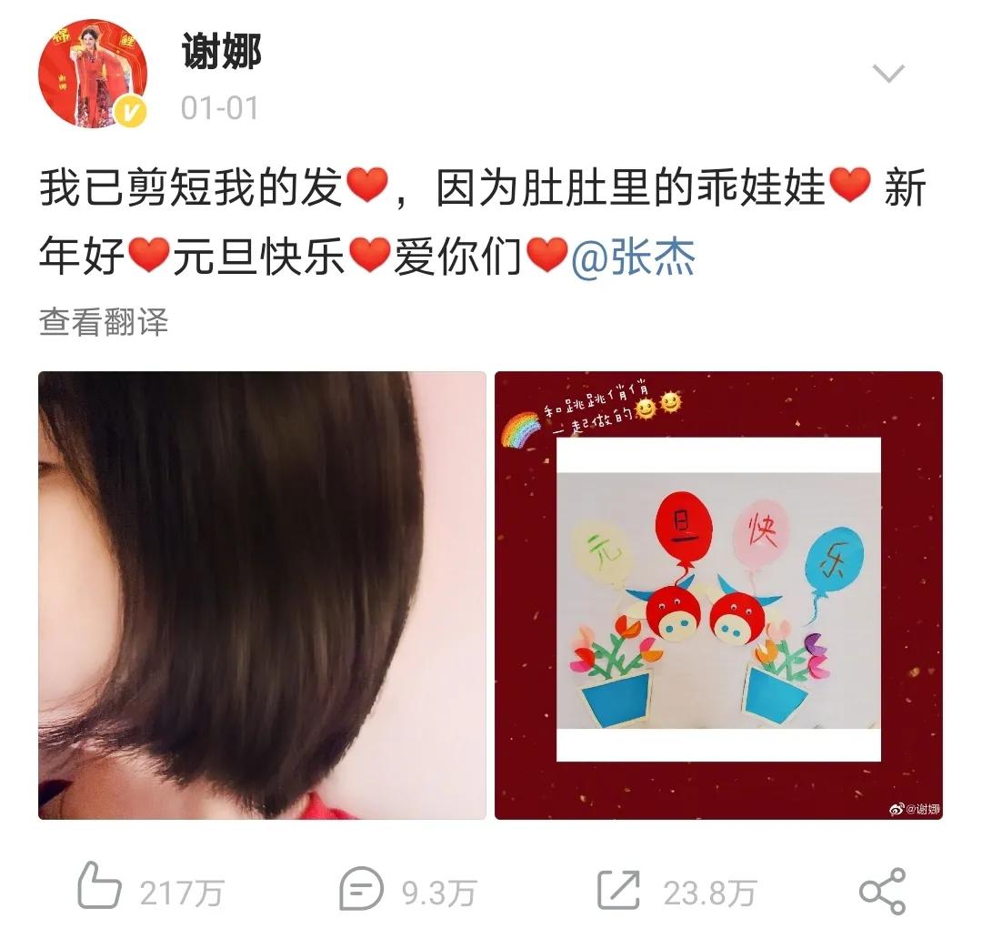 谢娜挺孕肚图片,谢娜孕肚写真曝光