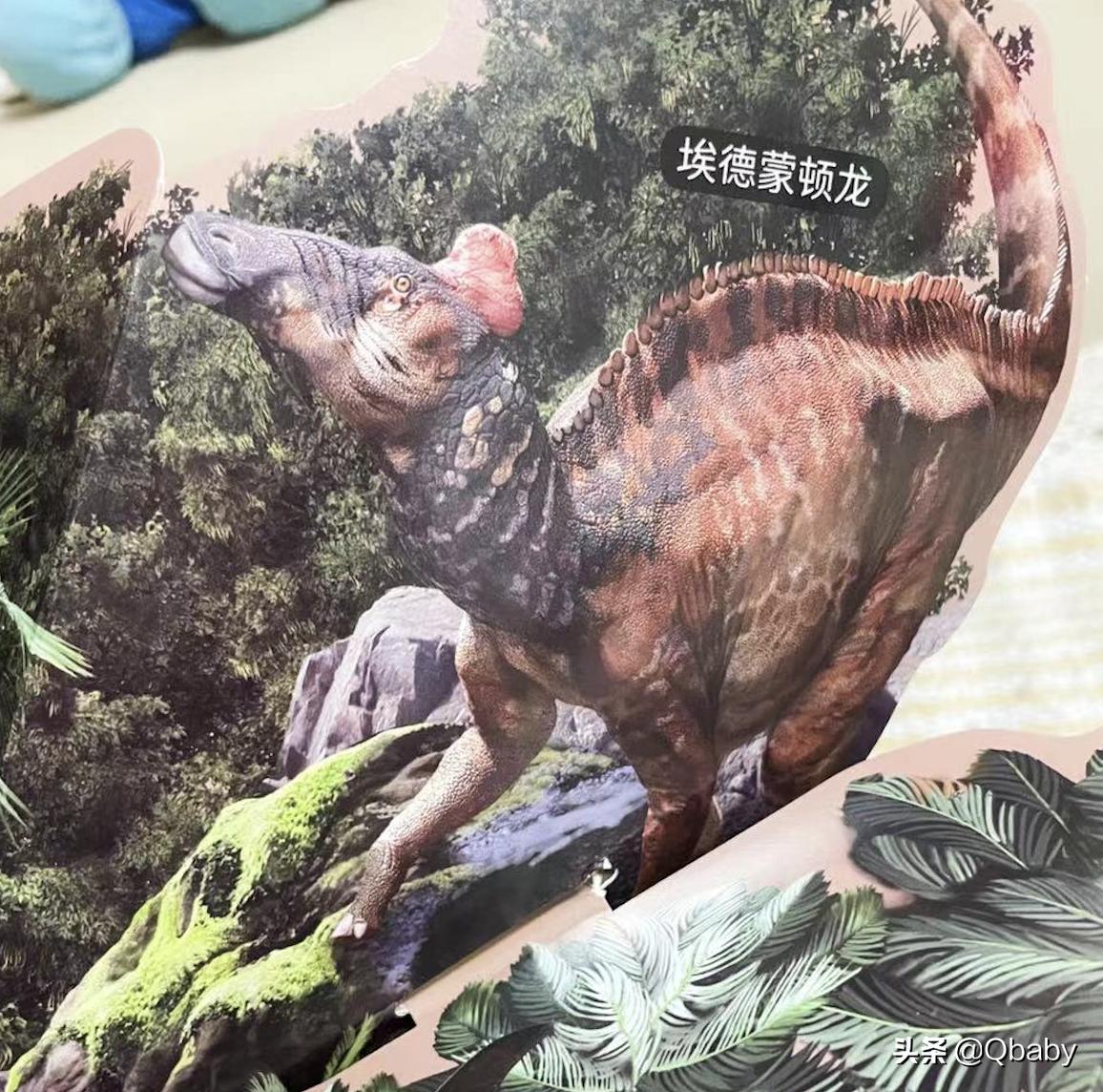 恐龙大百科恐龙探秘,恐龙探秘恐龙化石