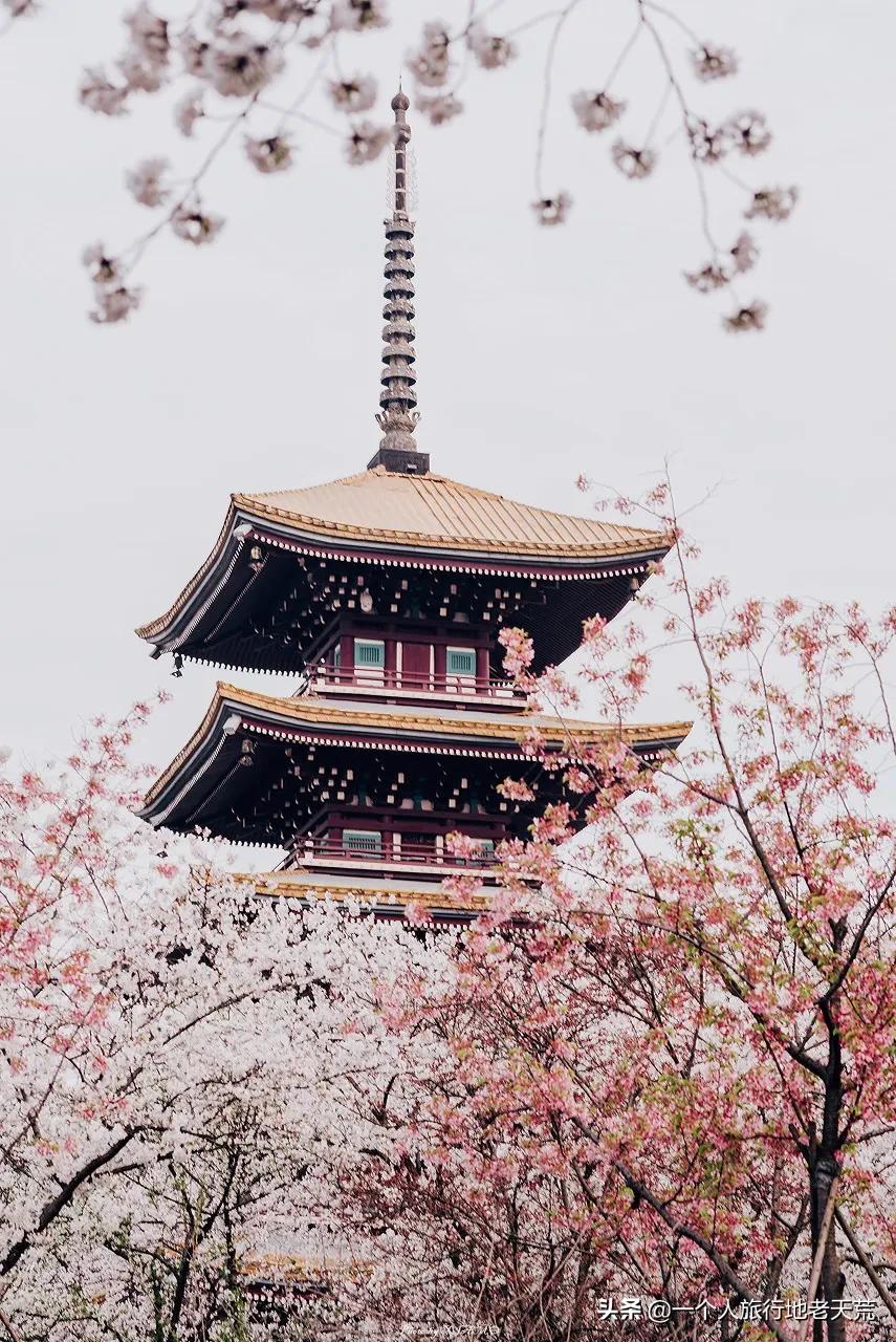 国内旅行必去的地方列表,国内必去的100个地方