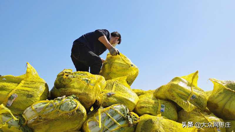 感动！东昂科技30吨生活物质千里支援湖北恩施咸丰县