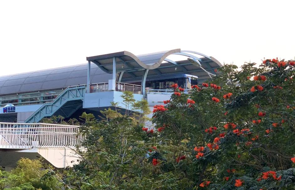 *光春**正好,快来搭乘开往春天的brt~