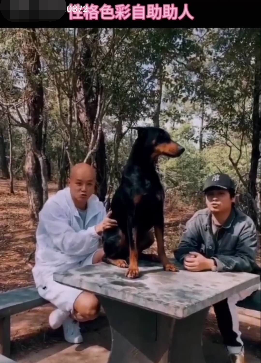 乐嘉修炼自己的性格,乐嘉谈性格色彩四种颜色相对均衡