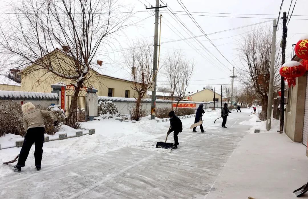 基层党建先锋村,林东镇先锋村书记