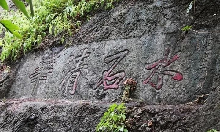 云品出滇入鲁,云品出滇鲜