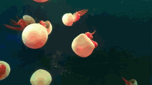 陕西凭高考准考证免门票的景区,陕西多个景区对高考生免费开放