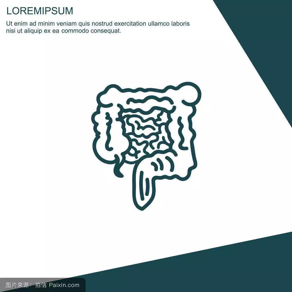 混合痔疮会引起便秘吗,便秘和痔疮的关系