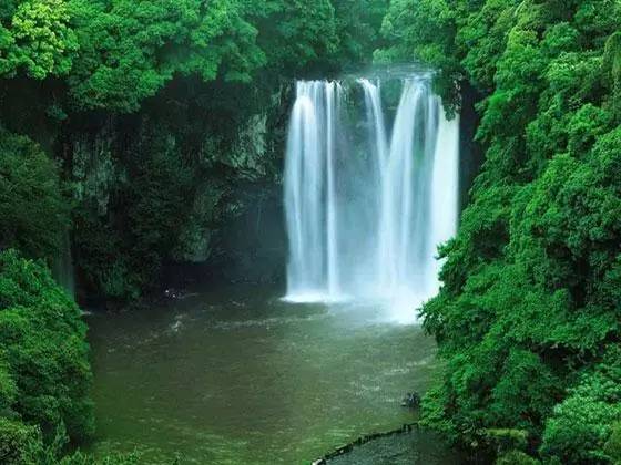 悟禅心语：佛性才是真正的个性，开悟后自然呈现！