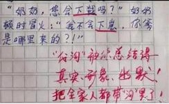 小学生作文把爹妈气死网友却笑了,小学笑到吐血作文吐槽爸爸