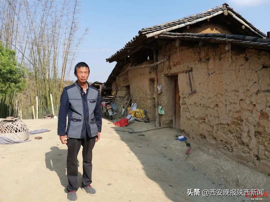 村民自费修山路被罚四万元,村民自费修山路被罚4万后续结果