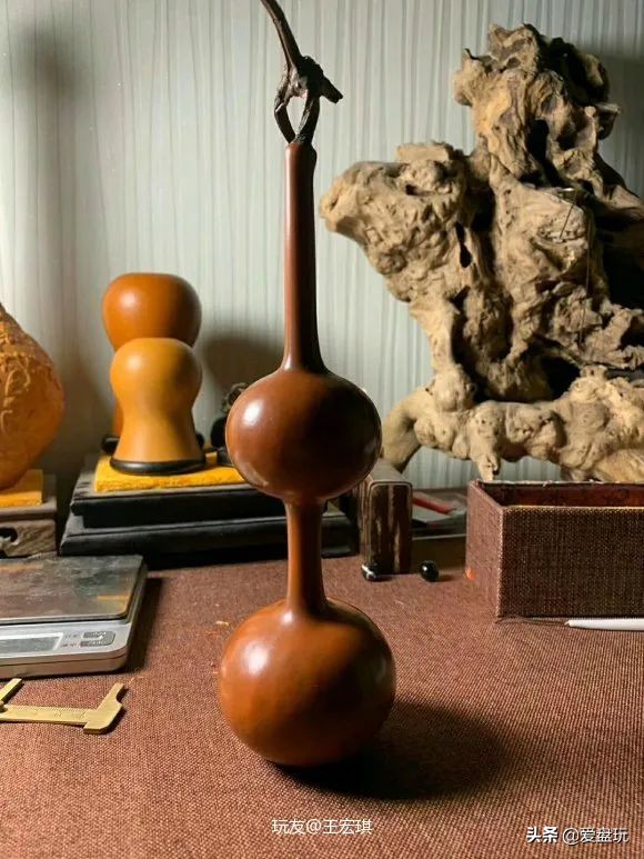 一把葫芦卖到上千上万，连种子都“千金难求”