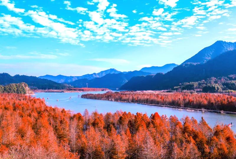 秋天的杭州自驾游,杭州秋冬自驾