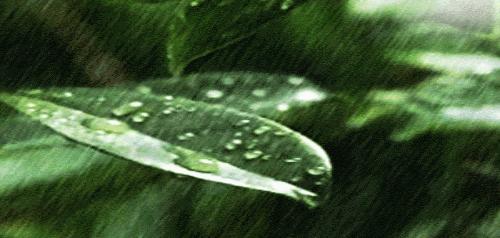 ​NO.880：阿克苏本地求职招聘、出租转让、农林牧副渔信息大全