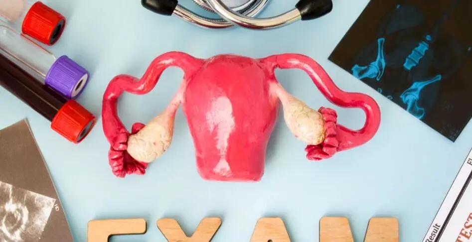 你已经是成年人了,生殖感染的相关疾病须知