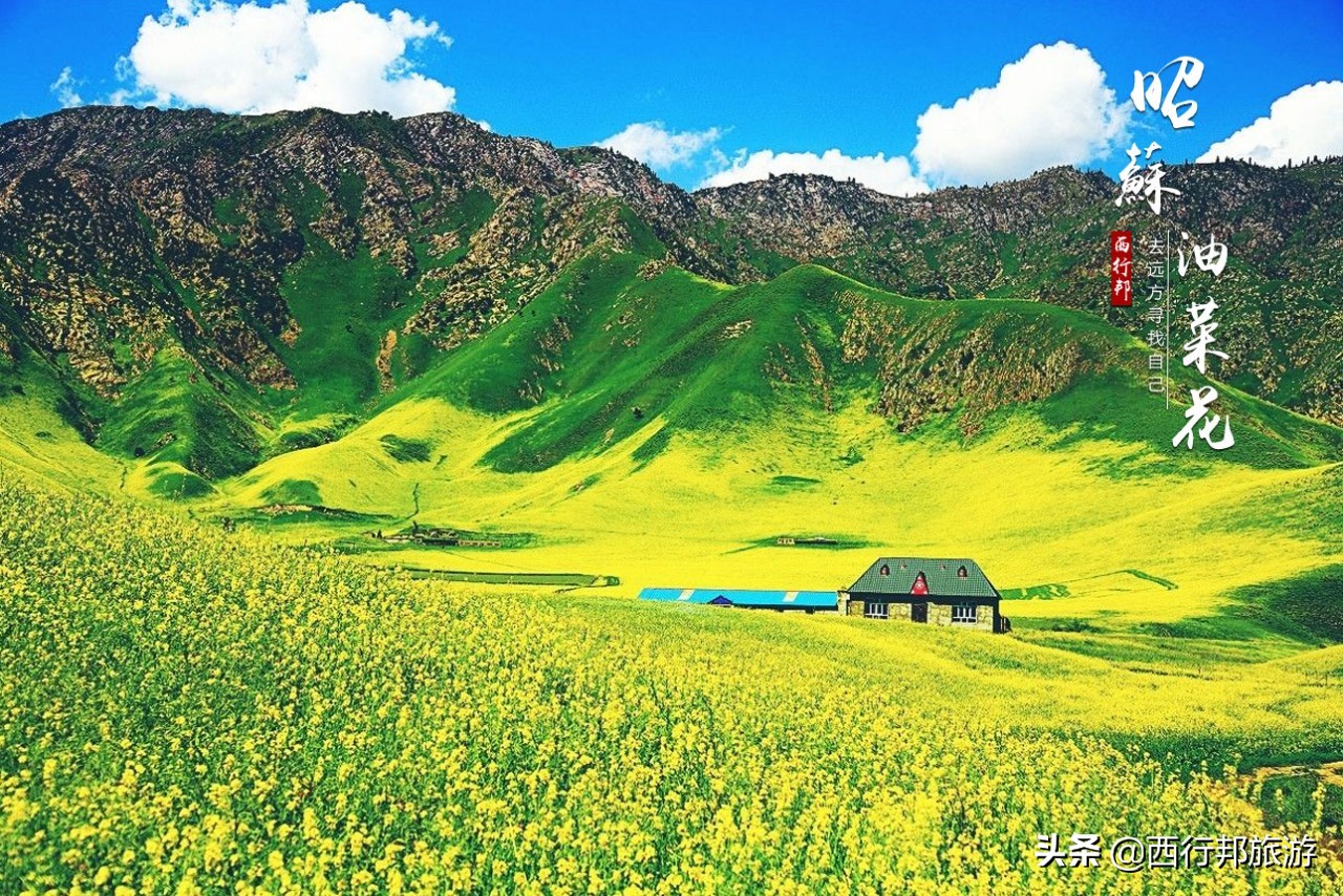 *疆新**,一定要不顾一切去一次的地方