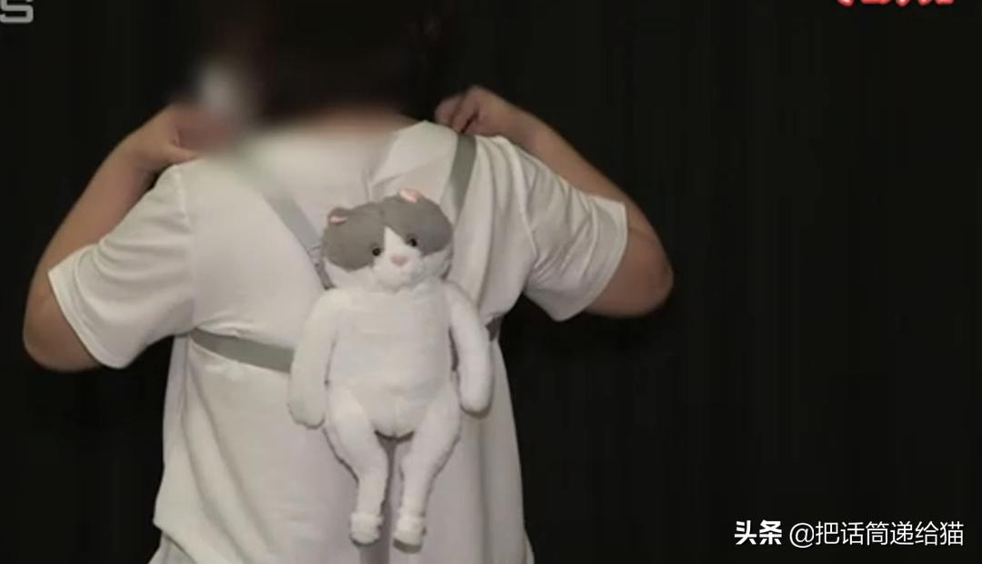 日本网红猫包,日本网红猫咪包