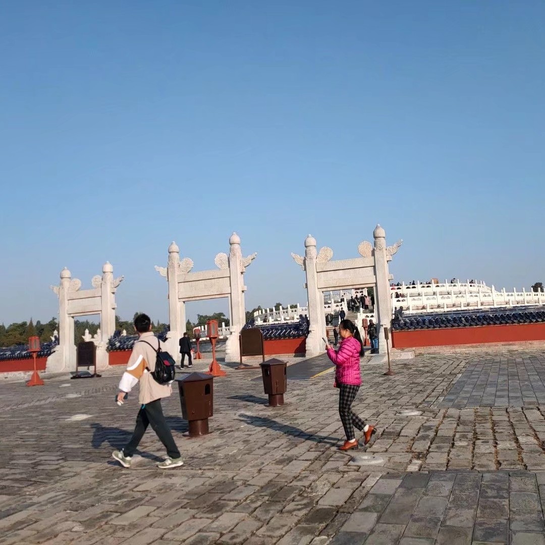 奇妙假日旅行,奇妙假期在哪里看