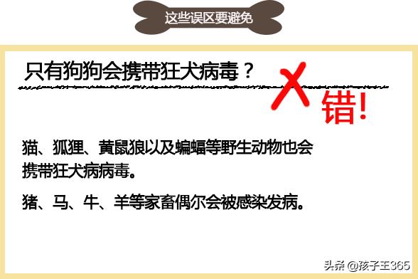家长没及时处理孩子狂犬病,小男孩得了狂犬病会有什么症状