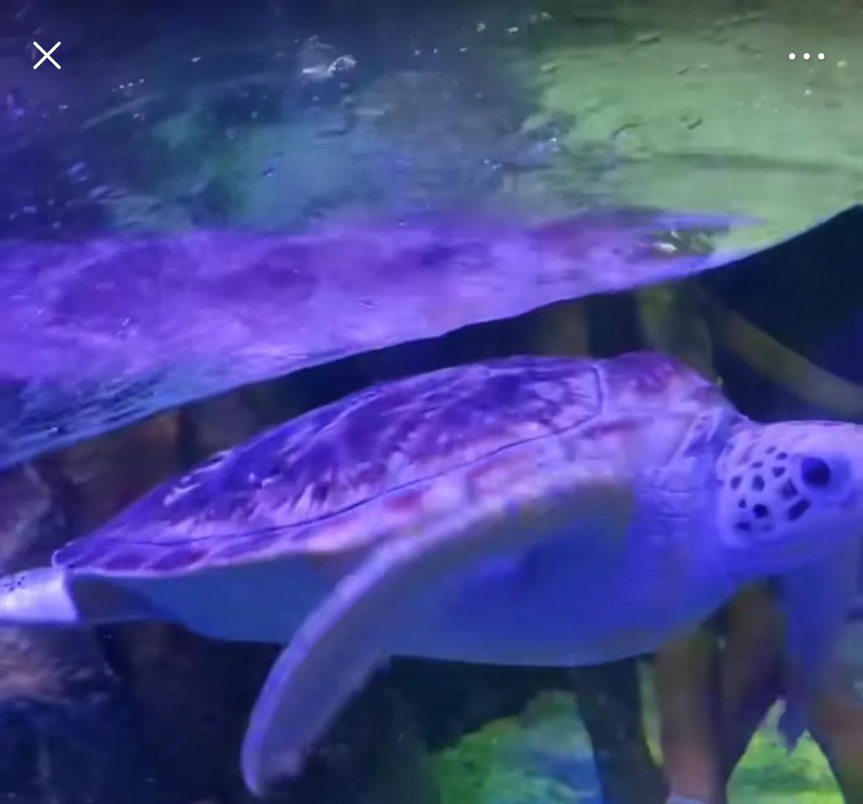 深圳最大的室内游乐场,深圳适合小孩玩的游乐场