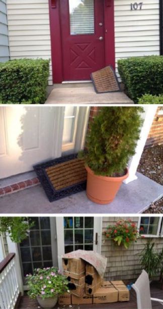 外国人震惊中国快递速度,中国快递有多令老外羡慕你知道吗