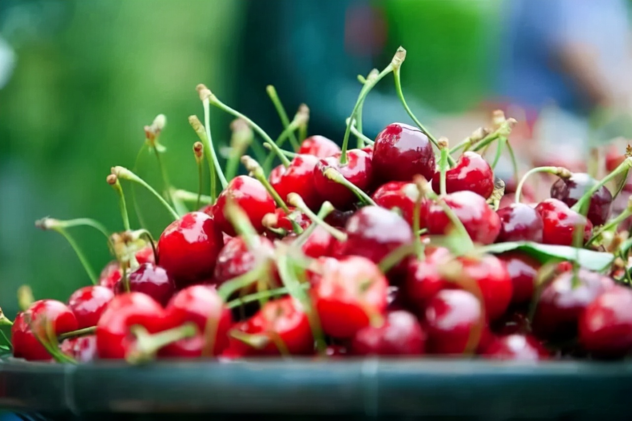 阿坝州红叶之旅,什么时候去阿坝州看秋景最佳