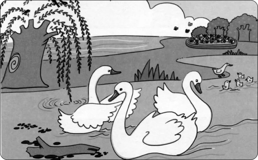 小学一二年级看图写话范文,小学一二年级看图写话范文大全