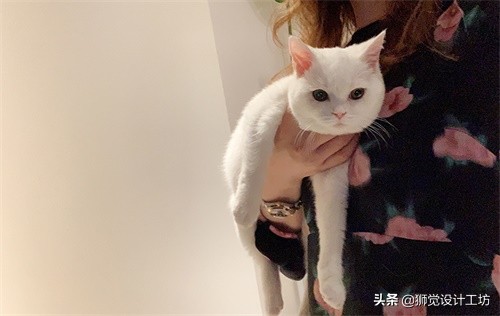 拍一张照片就能设计成一幅海报,一张人像图片做成海报构图