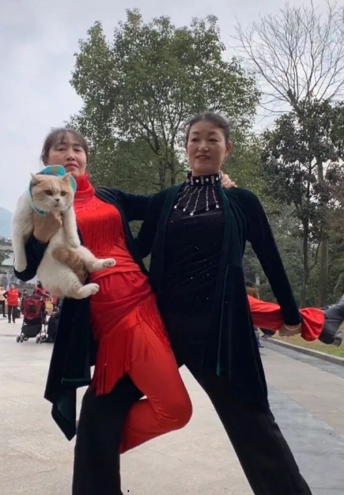 鱿鱼墨鱼乌贼八爪鱼章鱼的区别,墨鱼与鱿鱼章鱼八爪鱼有什么区别