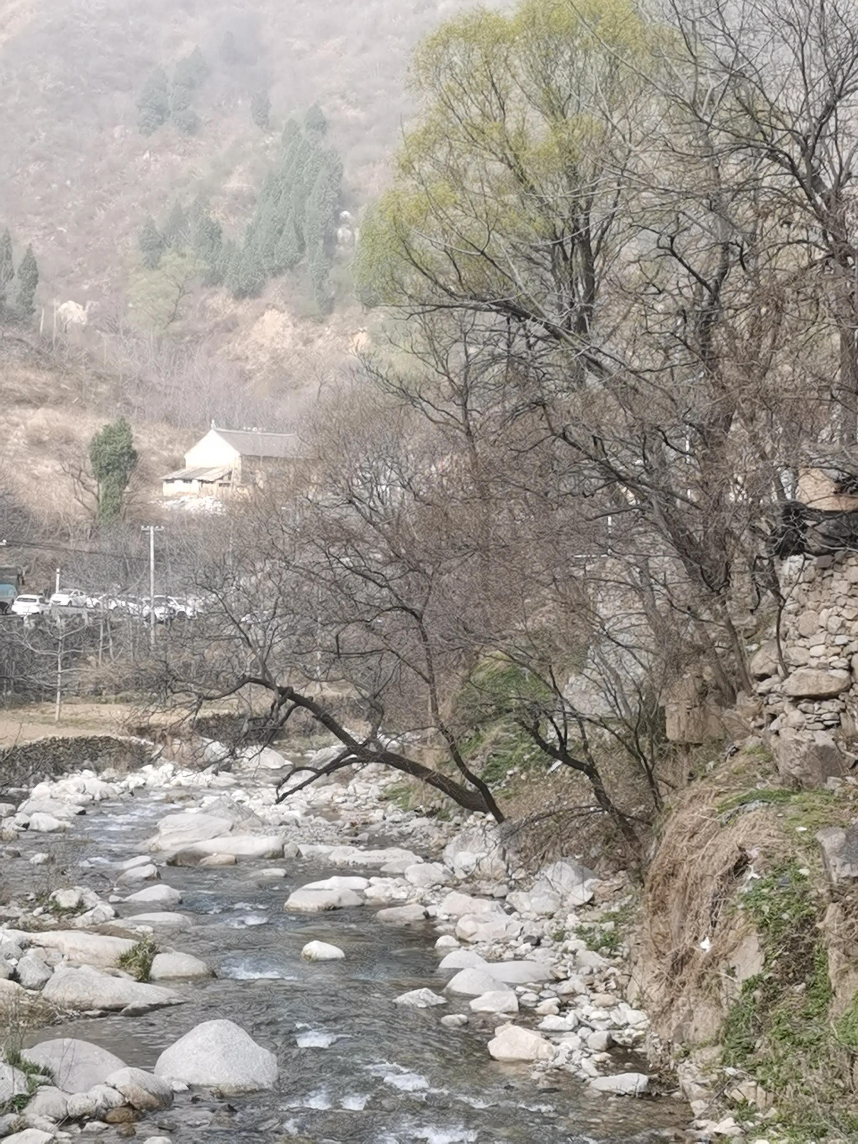 桃花依旧笑春风散文,关于桃花依旧笑春风的散文