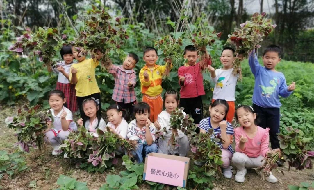 南阳梅溪大队处理违章,宣城梅溪路交警支队能否处理违章