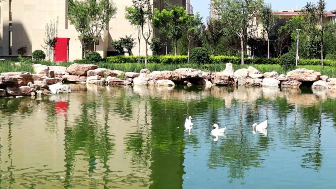 石家庄高新区最值得买的盘,实探一线湖景房