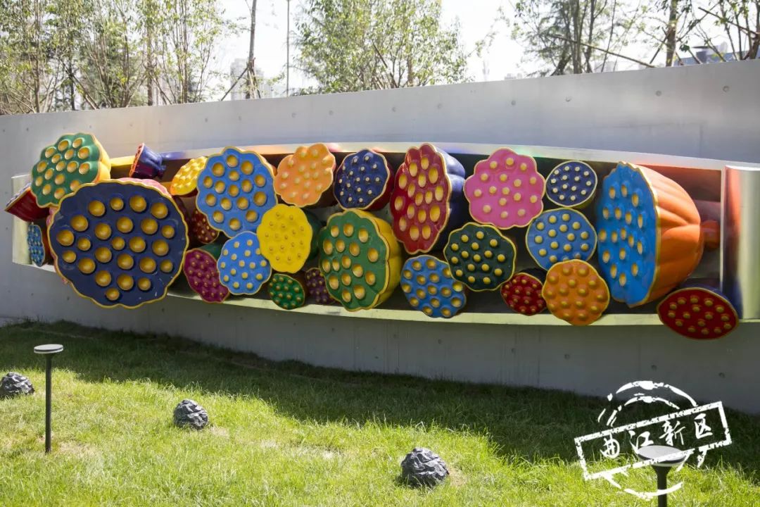 这个周日，新青年就要来曲*青江**年森林公园