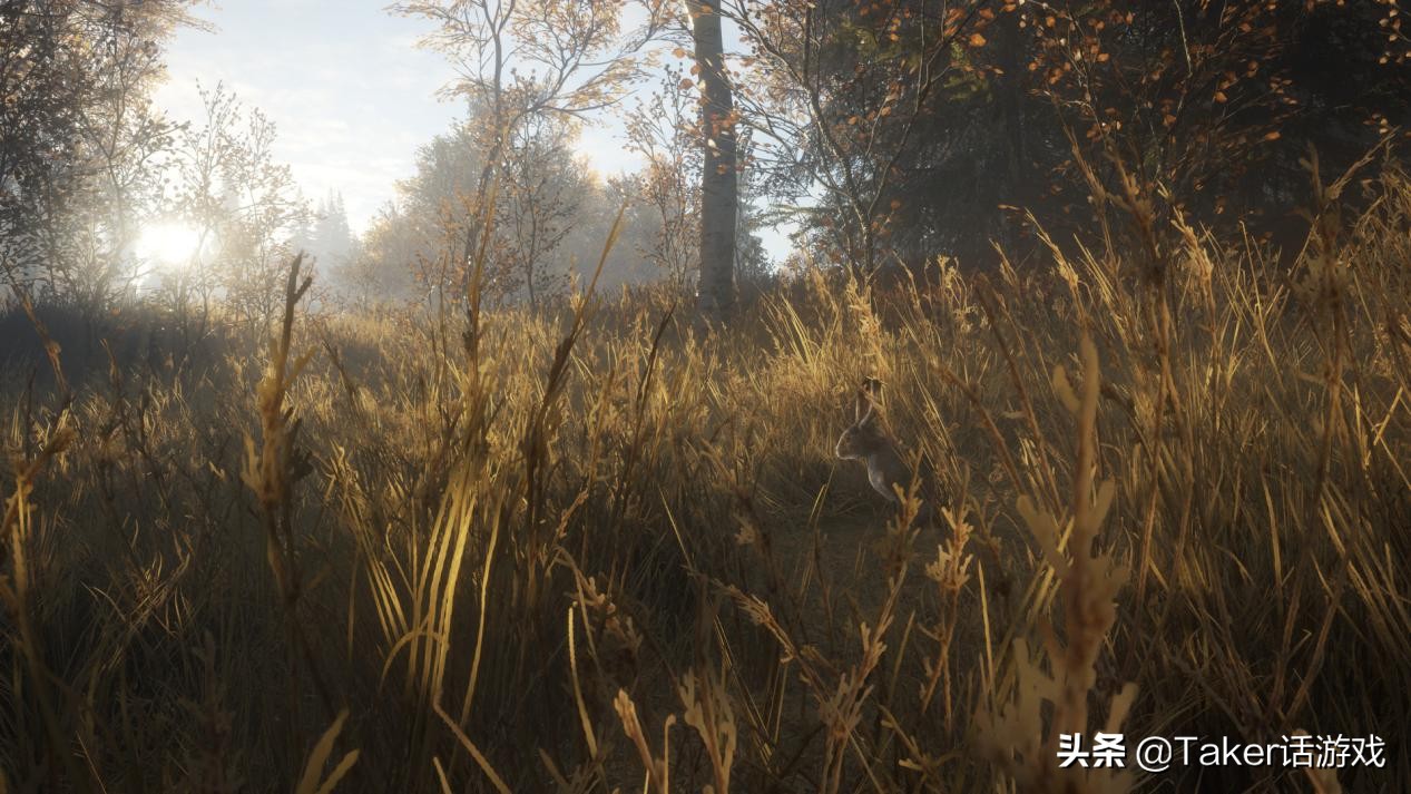 「好游推荐」画质优秀游戏硬核！一款越陈越香的经典狩猎游戏