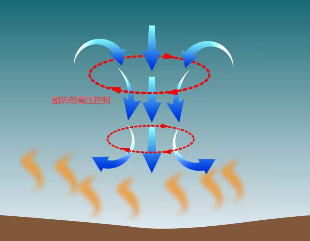阿尔及利亚现高温骆驼热晕在路边,阿尔及利亚60高温热晕骆驼