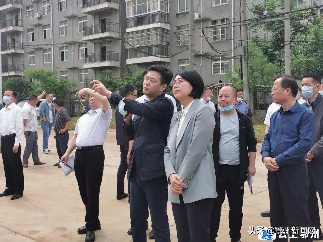 鄂州市乡村振兴拉练新闻视频,鄂州市项目拉练