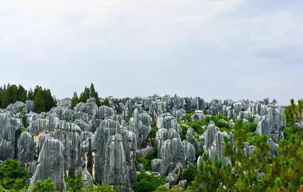 昆明石林景区值得去吗,昆明石林精华景点