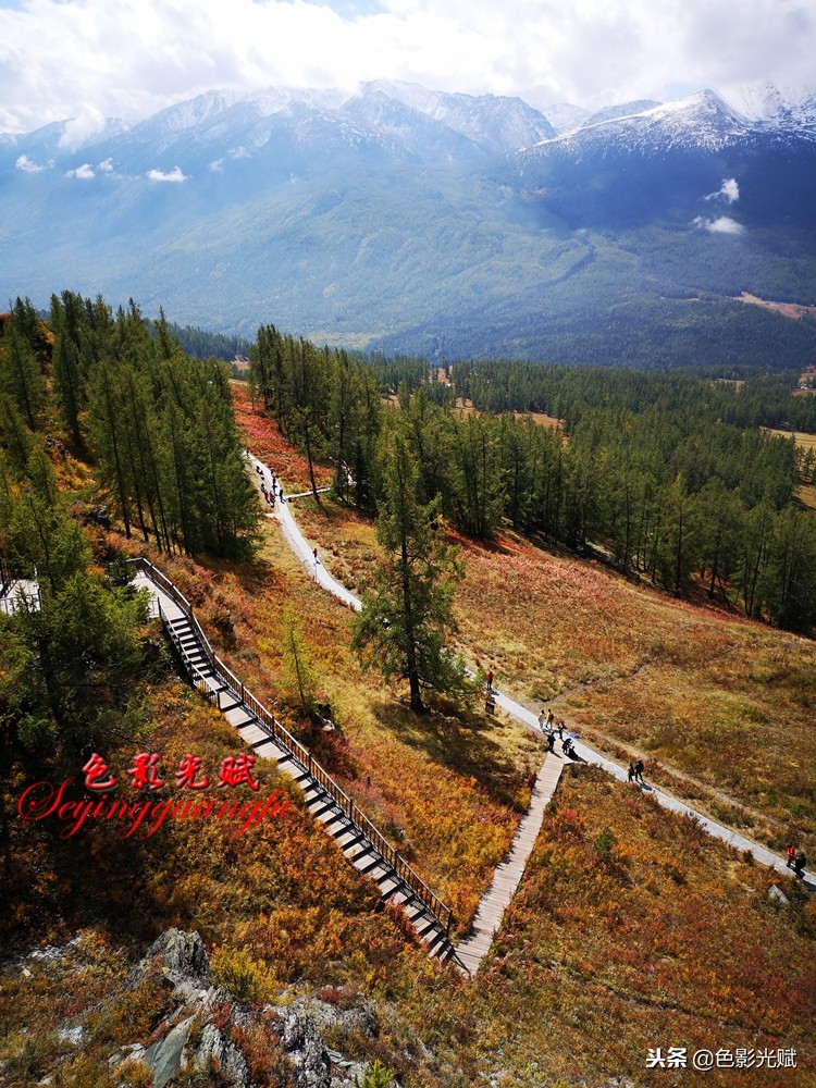 襄阳姐姐游北疆（七）：喀纳斯的惊叹号观鱼台