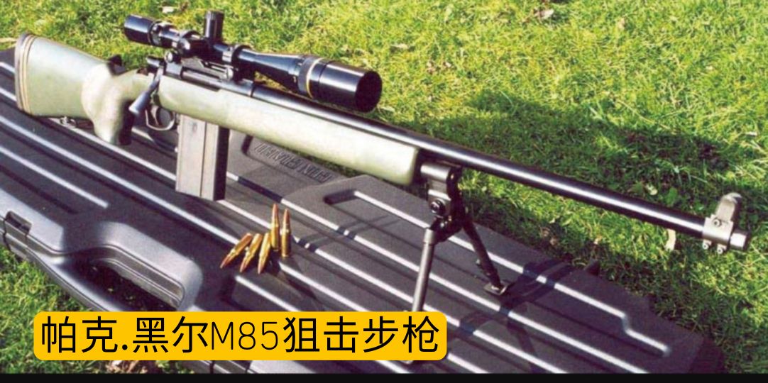 英国枪械发展史,英国枪械大全视频