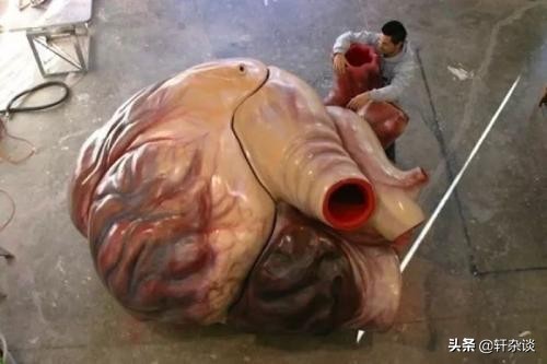 世界上最大最重动物,从古至今陆地上最大的动物